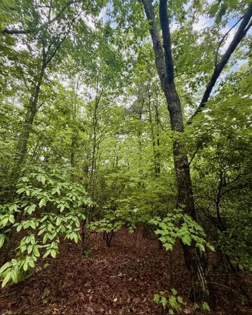 single family residence for sale at 00 Soaring Hawk Trail, Cleveland, GA 30528 — photo 7