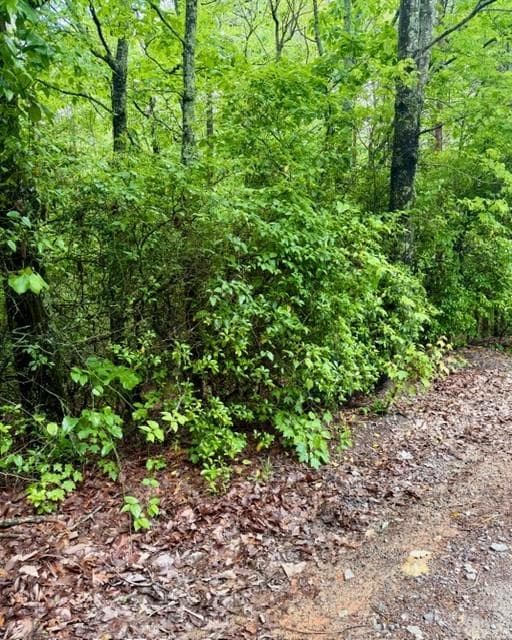 single family residence for sale at 00 Soaring Hawk Trail, Cleveland, GA 30528 — photo 10