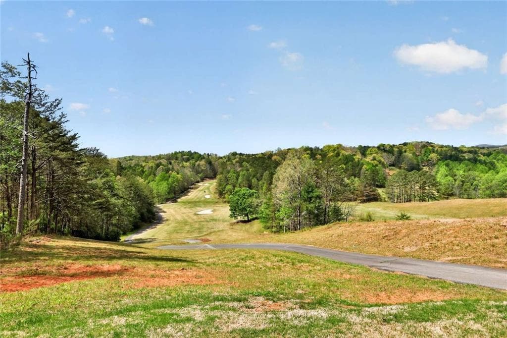 3 bedroom, 5 bathroom, 3,245 sq ft single family residence under contract at 95 Sapulpa Court, Ellijay, GA 30540 — photo 9