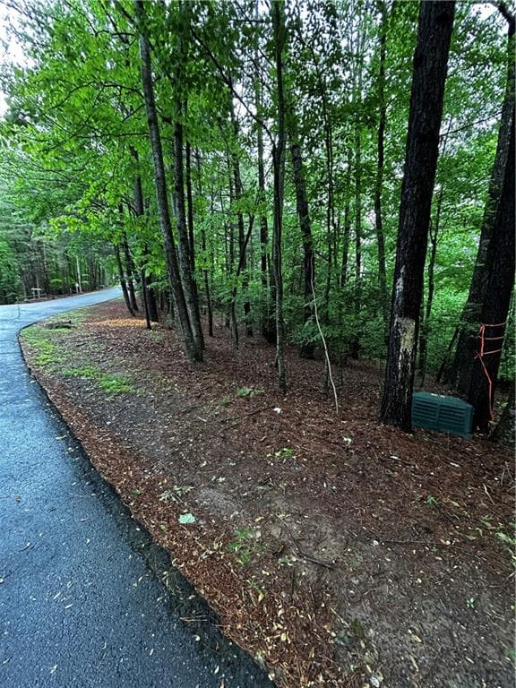 other for sale at 00 Lazy River Lane, Ellijay, GA 30540 — photo 1 of 20