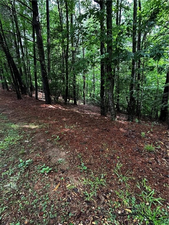 other for sale at 00 Lazy River Lane, Ellijay, GA 30540 — photo 2