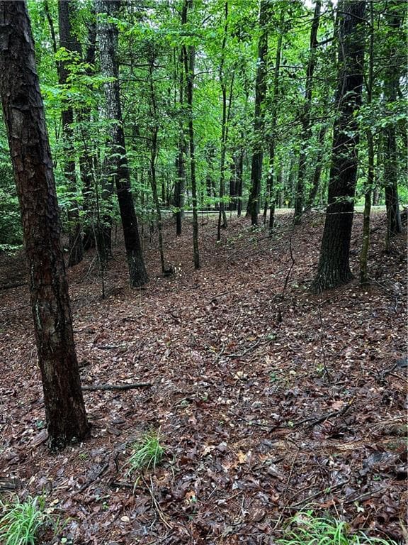 other for sale at 00 Lazy River Lane, Ellijay, GA 30540 — photo 3
