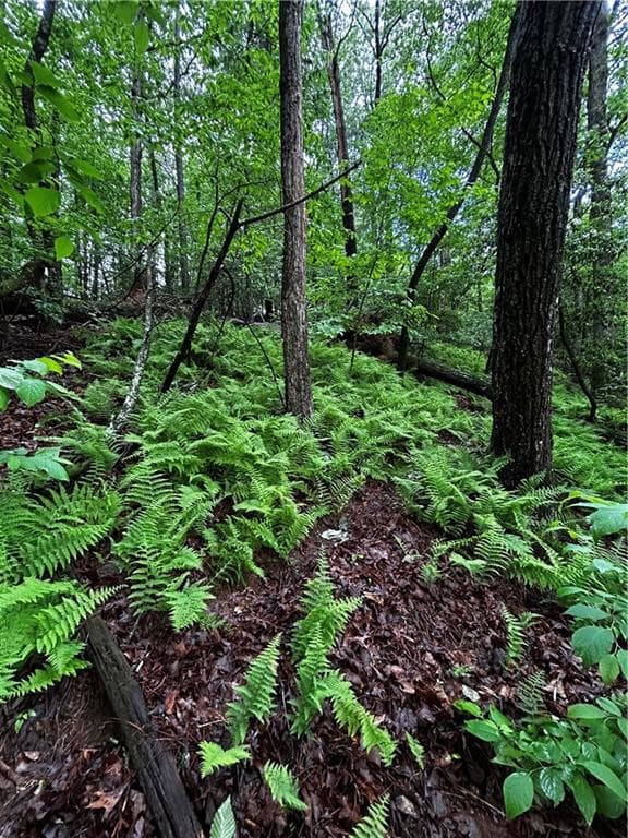 other for sale at 00 Lazy River Lane, Ellijay, GA 30540 — photo 5
