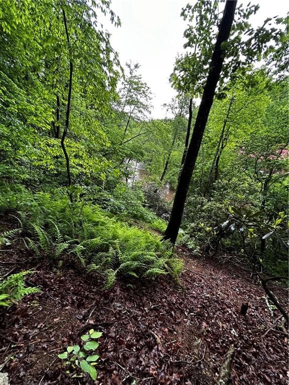 other for sale at 00 Lazy River Lane, Ellijay, GA 30540 — photo 6