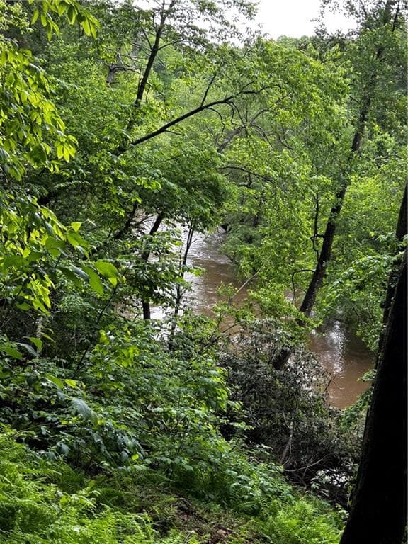 other for sale at 00 Lazy River Lane, Ellijay, GA 30540 — photo 7