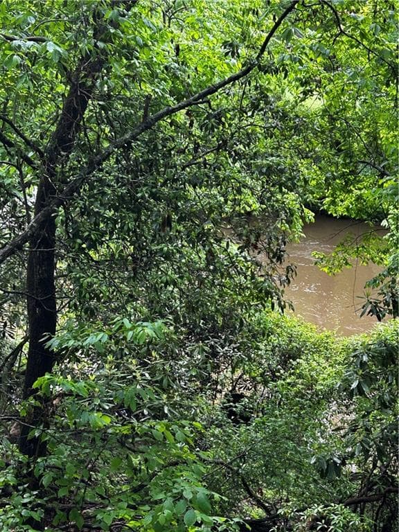 other for sale at 00 Lazy River Lane, Ellijay, GA 30540 — photo 8