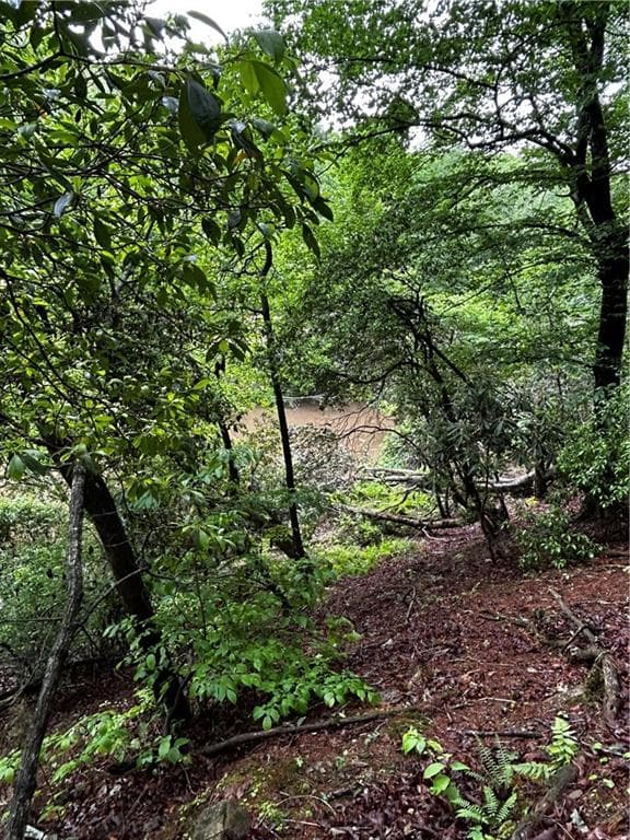 other for sale at 00 Lazy River Lane, Ellijay, GA 30540 — photo 9