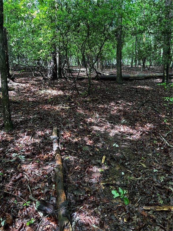 other for sale at 00 Lazy River Lane, Ellijay, GA 30540 — photo 10