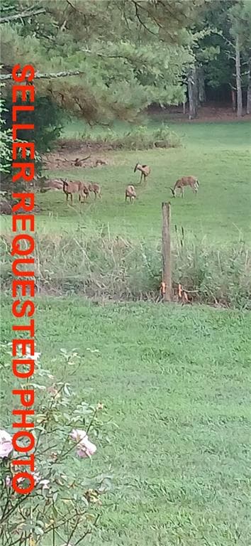 unimproved land for sale at 1593 Old Alabama Road, Taylorsville, GA 30178 — photo 4