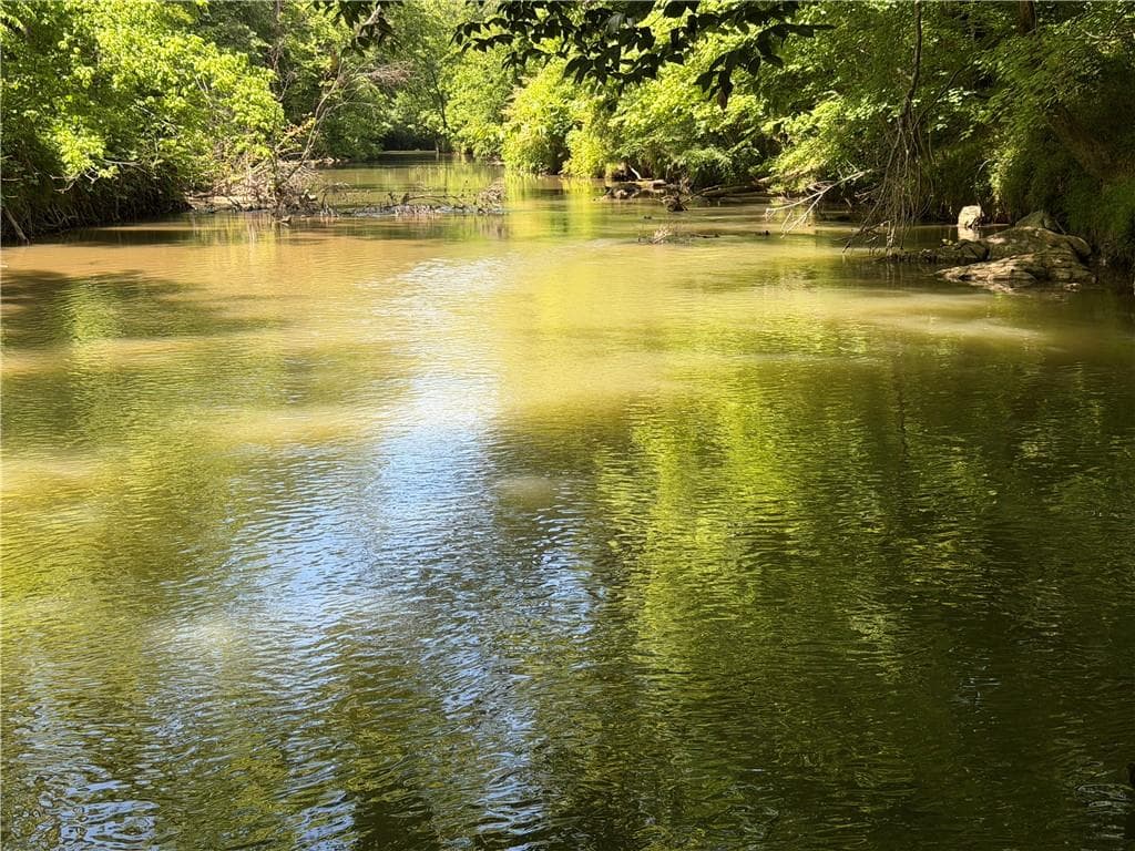unimproved land for sale at 1593 Old Alabama Road, Taylorsville, GA 30178 — photo 6