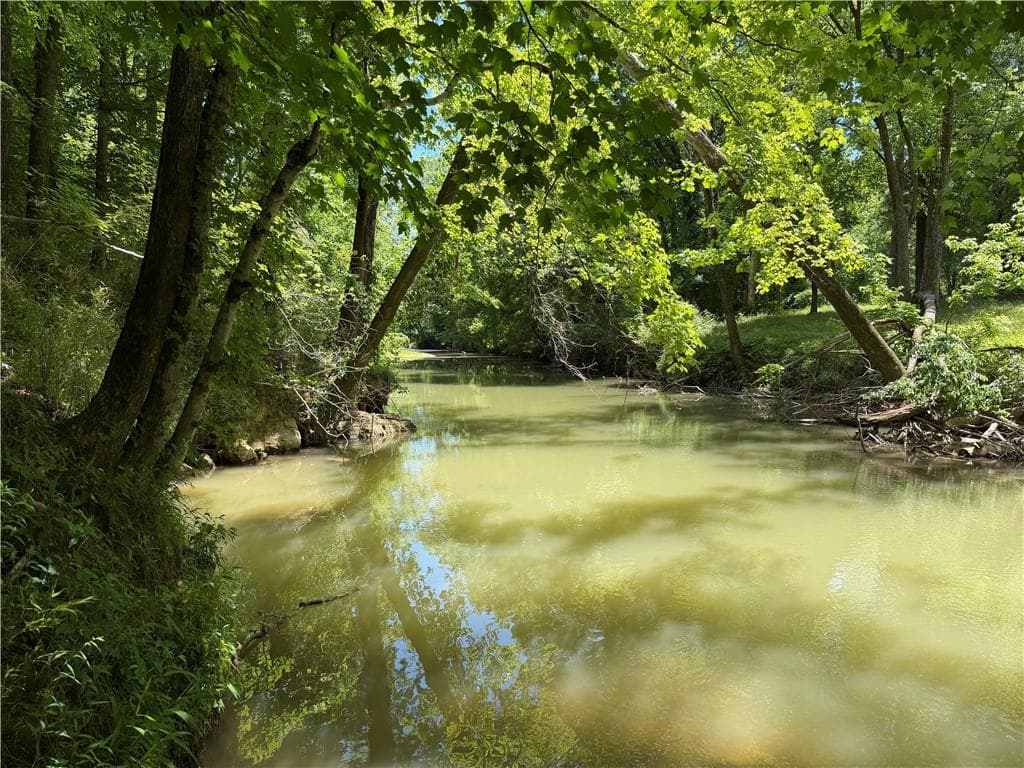 unimproved land for sale at 1593 Old Alabama Road, Taylorsville, GA 30178 — photo 7
