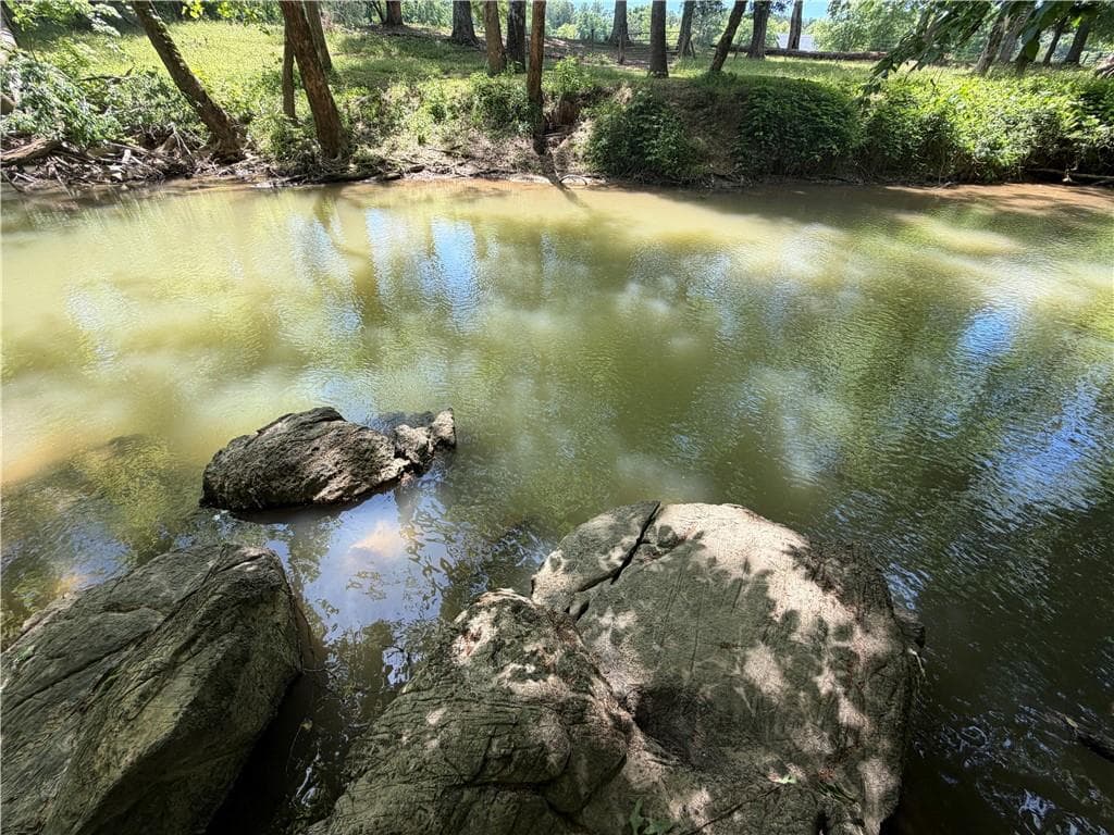 unimproved land for sale at 1593 Old Alabama Road, Taylorsville, GA 30178 — photo 9