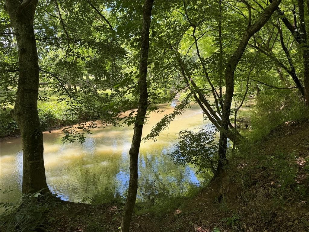 unimproved land for sale at 1593 Old Alabama Road, Taylorsville, GA 30178 — photo 10