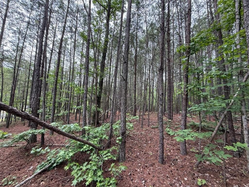 unimproved land for sale at 0 Natures Walk Drive, Rome, GA 30165 — photo 1 of 5