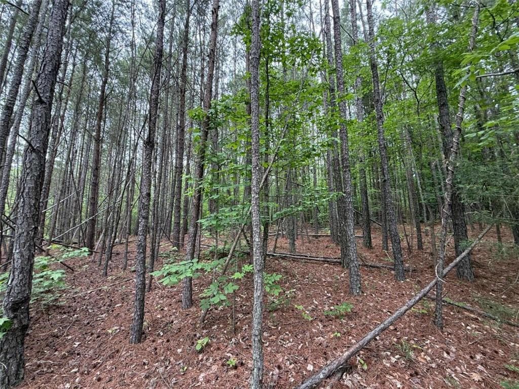 unimproved land for sale at 0 Natures Walk Drive, Rome, GA 30165 — photo 2