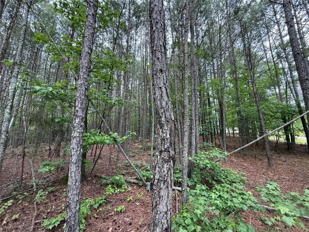 unimproved land for sale at 0 Natures Walk Drive, Rome, GA 30165 — photo 3