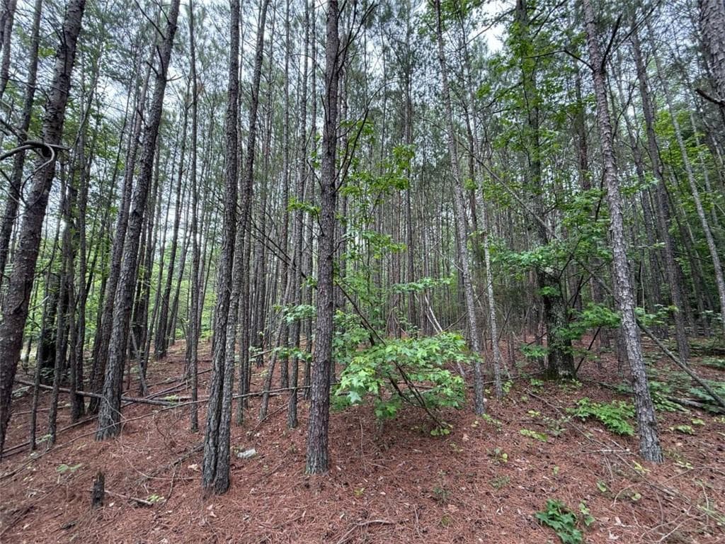 unimproved land for sale at 0 Natures Walk Drive, Rome, GA 30165 — photo 4