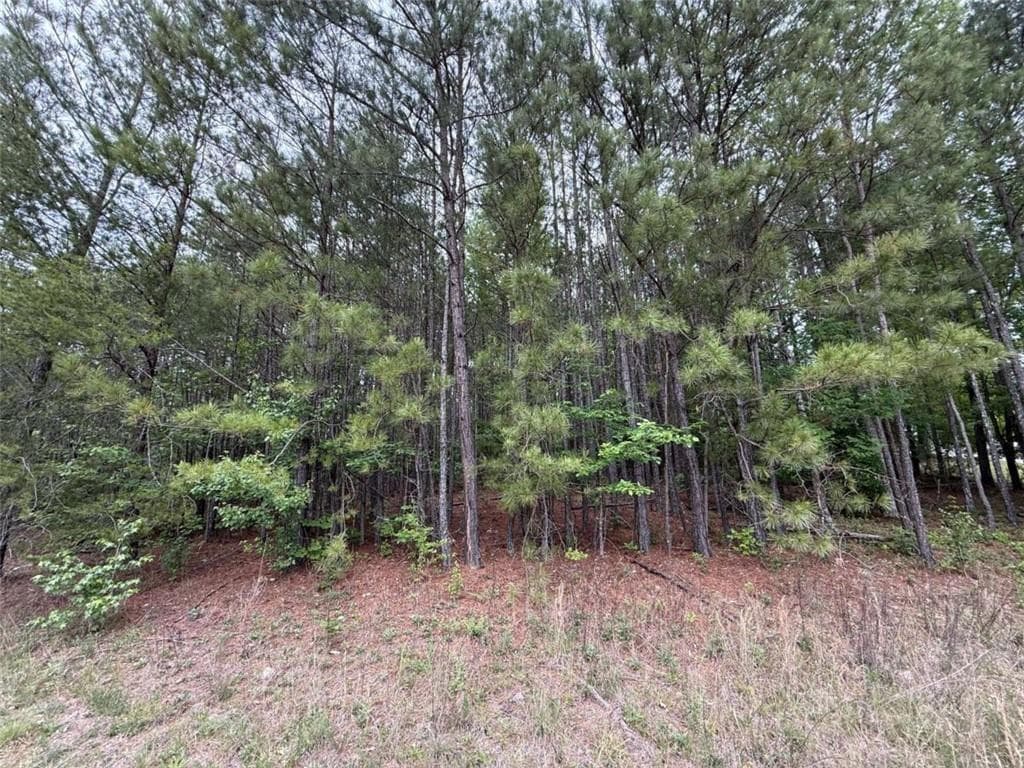 unimproved land for sale at 0 Natures Walk Drive, Rome, GA 30165 — photo 5