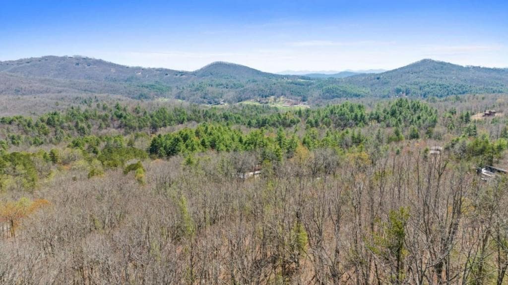 other for sale at 40A Synacia Road, Mineral Bluff, GA 30559 — photo 8