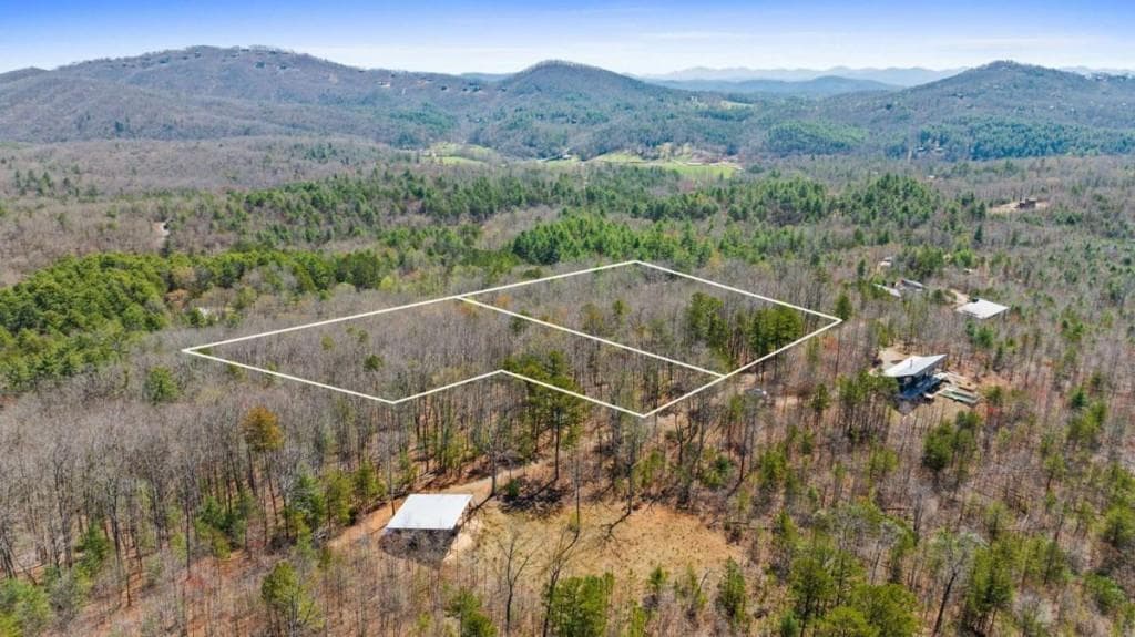 other for sale at 40A Synacia Road, Mineral Bluff, GA 30559 — photo 9