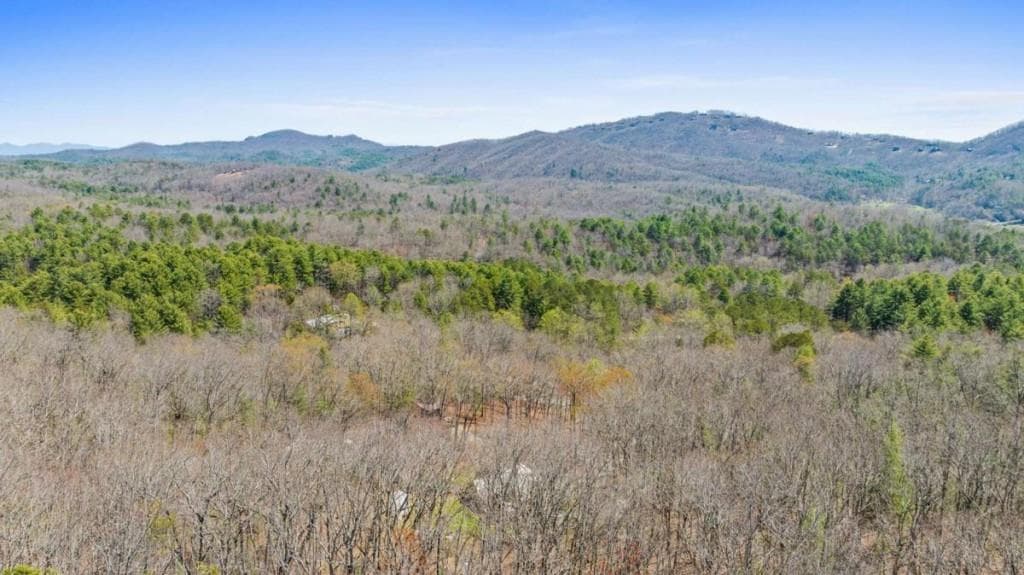 other for sale at 40A Synacia Road, Mineral Bluff, GA 30559 — photo 10