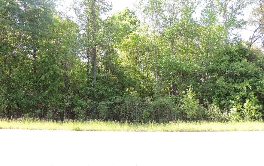unimproved land for sale at 0 Causey Rd, Knoxville, GA 31050 — photo 1 of 3