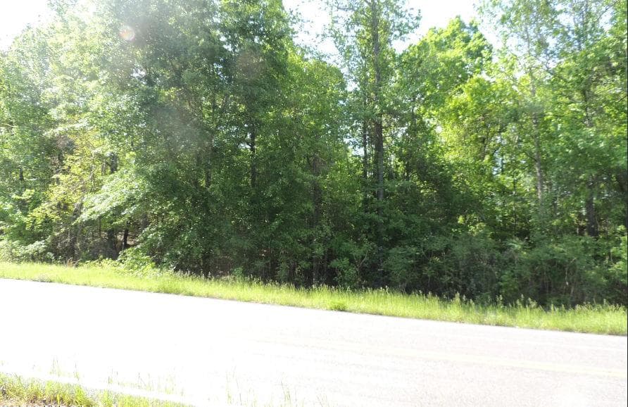 unimproved land for sale at 0 Causey Rd, Knoxville, GA 31050 — photo 2