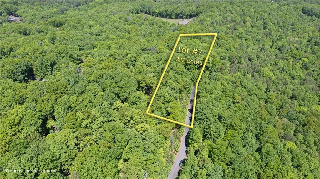 single family residence under contract at 0 Brumby Run, Blairsville, GA 30512 — photo 9