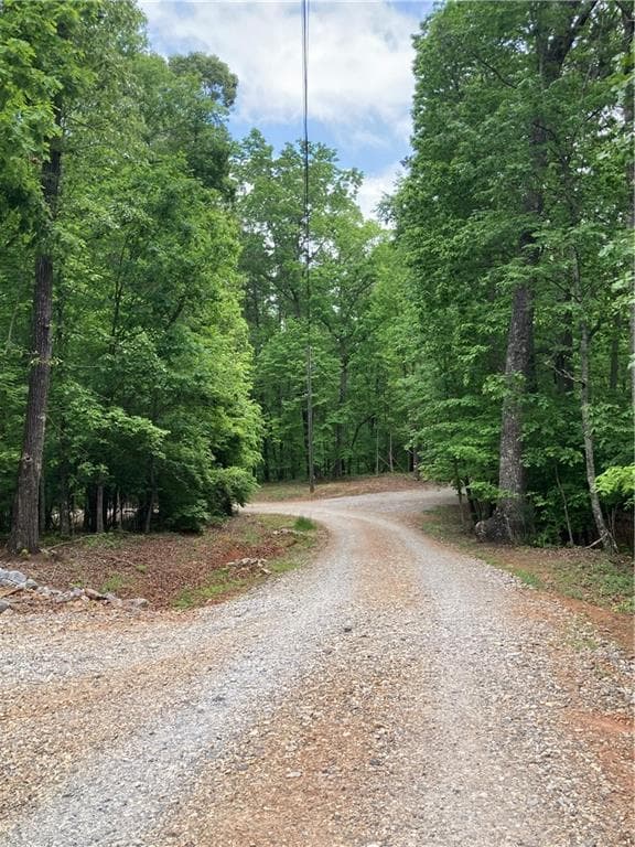 single family residence for sale at 00 Crest View Drive, Dahlonega, GA 30533 — photo 3