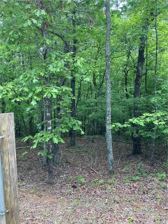 single family residence for sale at 00 Crest View Drive, Dahlonega, GA 30533 — photo 4