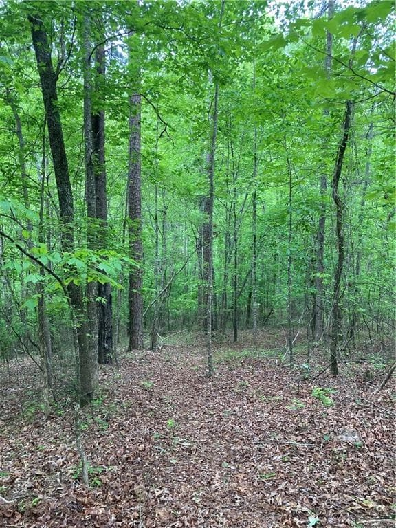 single family residence for sale at 00 Crest View Drive, Dahlonega, GA 30533 — photo 5