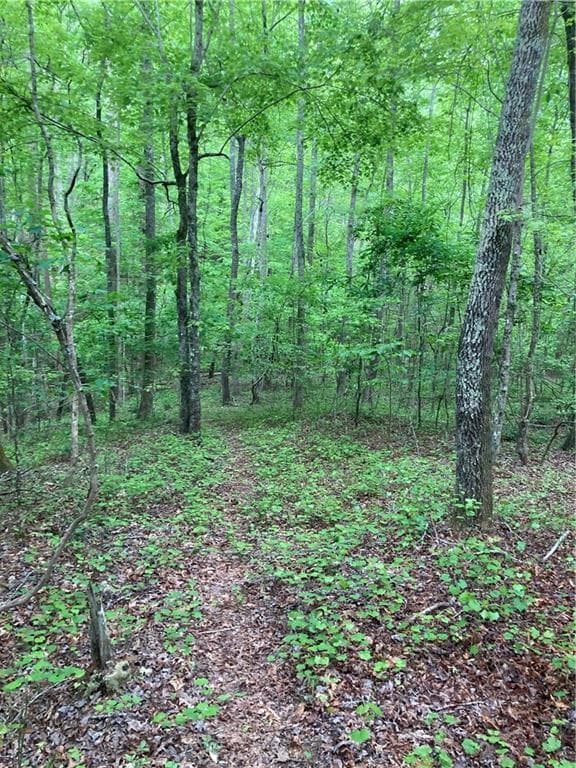 single family residence for sale at 00 Crest View Drive, Dahlonega, GA 30533 — photo 6
