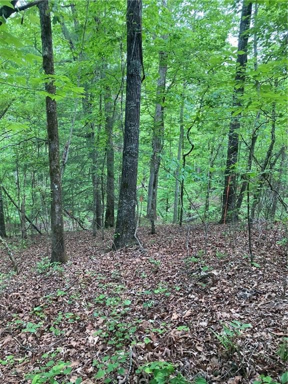 single family residence for sale at 00 Crest View Drive, Dahlonega, GA 30533 — photo 7