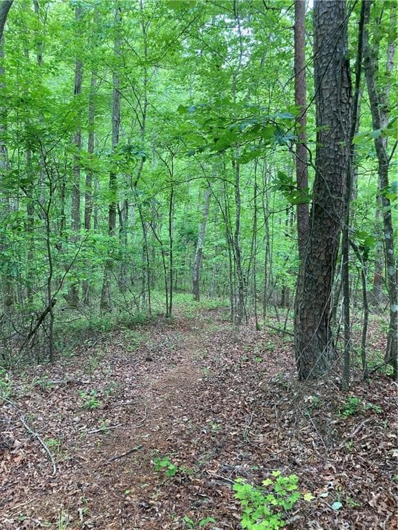 single family residence for sale at 00 Crest View Drive, Dahlonega, GA 30533 — photo 8