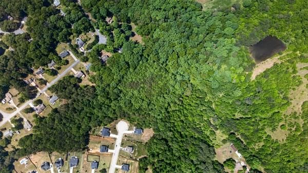 other for sale at 60 Wood Chuck Court, Auburn, GA 30011 — photo 3