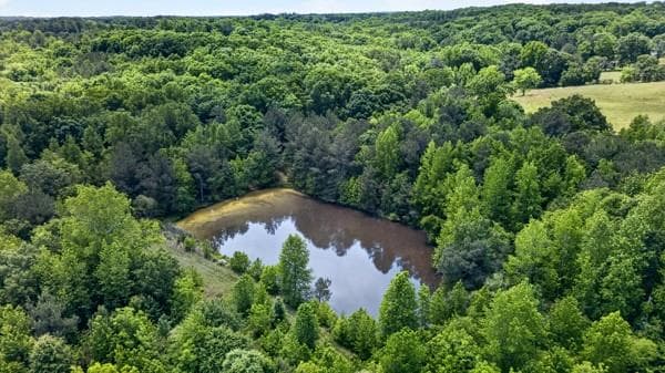 other for sale at 60 Wood Chuck Court, Auburn, GA 30011 — photo 4