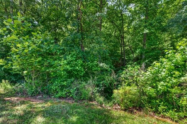 other for sale at 60 Wood Chuck Court, Auburn, GA 30011 — photo 5