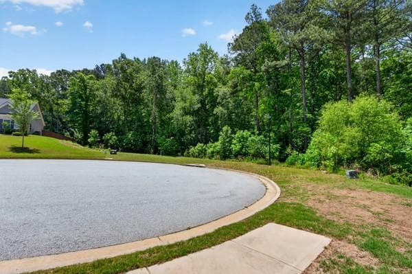 other for sale at 60 Wood Chuck Court, Auburn, GA 30011 — photo 8