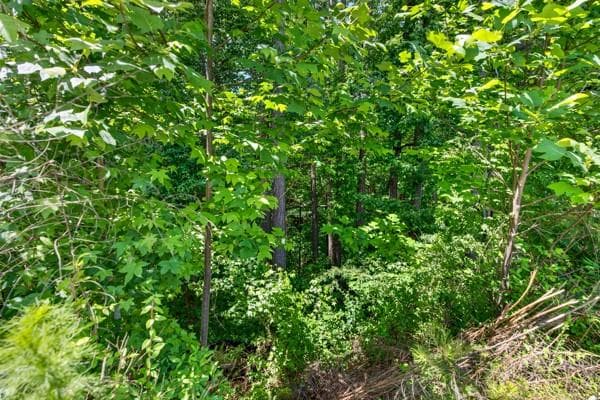other for sale at 60 Wood Chuck Court, Auburn, GA 30011 — photo 9
