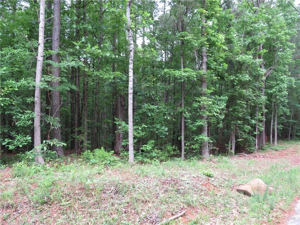 unimproved land for sale at 0 Doke Cohran Road, Dallas, GA 30157 — photo 1 of 11