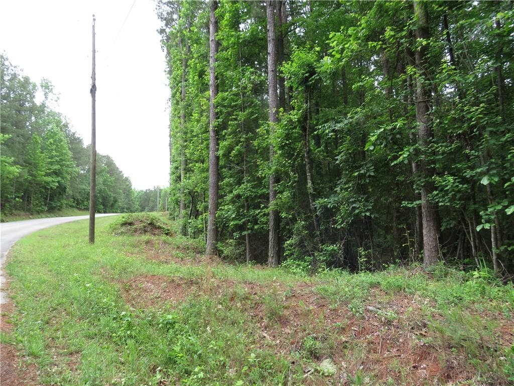 unimproved land for sale at 0 Doke Cohran Road, Dallas, GA 30157 — photo 4