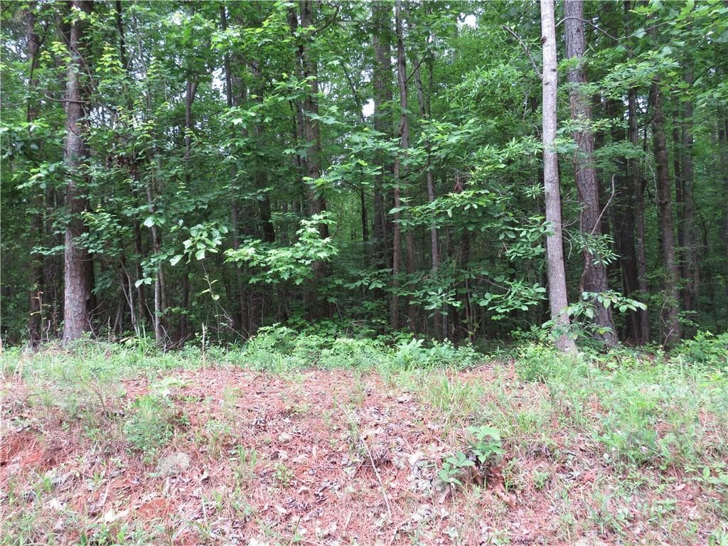 unimproved land for sale at 0 Doke Cohran Road, Dallas, GA 30157 — photo 6