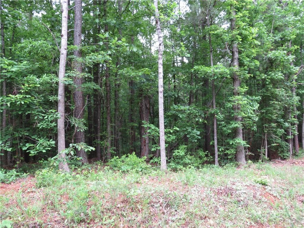 unimproved land for sale at 0 Doke Cohran Road, Dallas, GA 30157 — photo 7