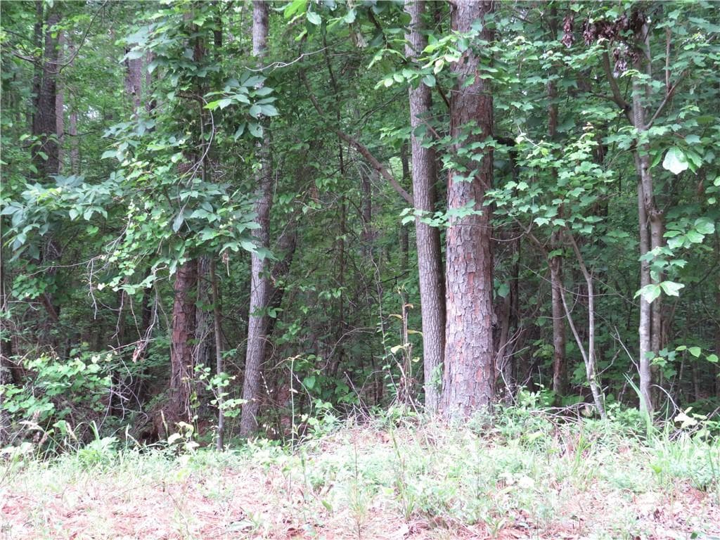 unimproved land for sale at 0 Doke Cohran Road, Dallas, GA 30157 — photo 8