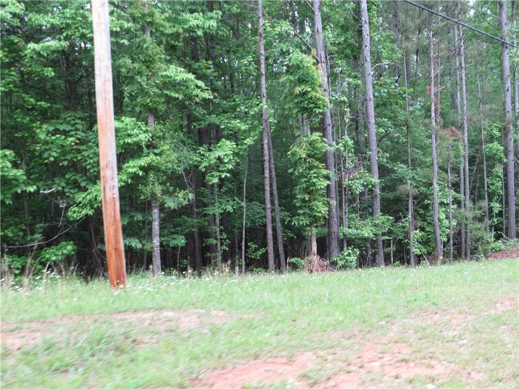 unimproved land for sale at 0 Doke Cohran Road, Dallas, GA 30157 — photo 10