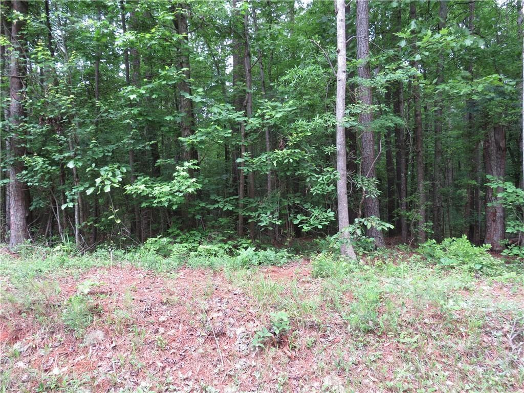 unimproved land for sale at 0 Doke Cohran Road, Dallas, GA 30157 — photo 4