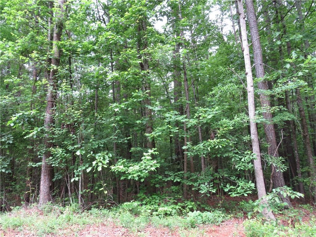 unimproved land for sale at 0 Doke Cohran Road, Dallas, GA 30157 — photo 5