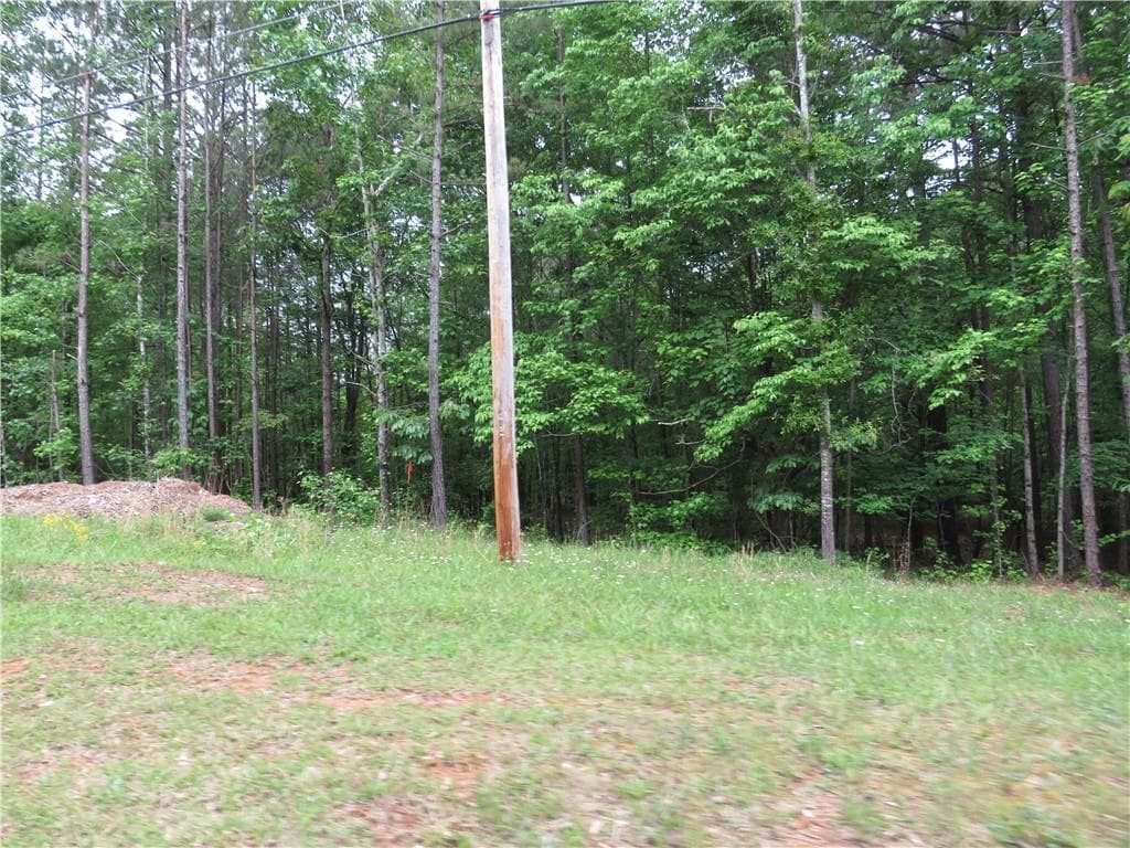 unimproved land for sale at 0 Doke Cohran Road, Dallas, GA 30157 — photo 10