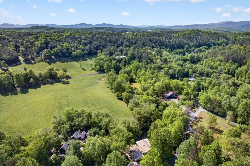 3 bedroom, 3 bathroom, 2,953 sq ft single family residence for sale at 401 Mountain Rivers Road, Mineral Bluff, GA 30559 — photo 2