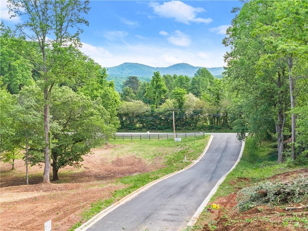 4 bedroom, 4 bathroom, 2,300 sq ft single family residence for sale at Lot 6 Lowe Lane, Talking Rock, GA 30175 — photo 10